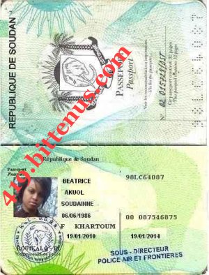 international passport1
